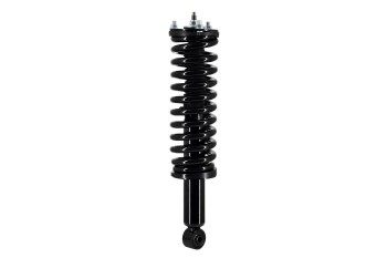 Suspension Strut and Coil Spring Assembly