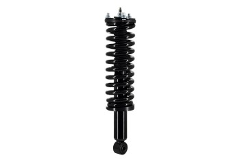 Suspension Strut and Coil Spring Assembly