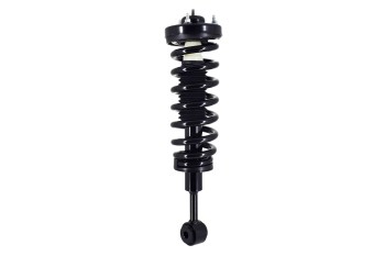 Suspension Strut and Coil Spring Assembly