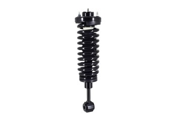 Suspension Strut and Coil Spring Assembly