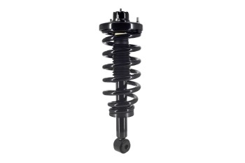 Suspension Strut and Coil Spring Assembly