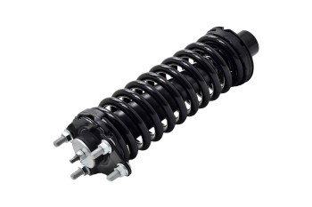 Suspension Strut and Coil Spring Assembly
