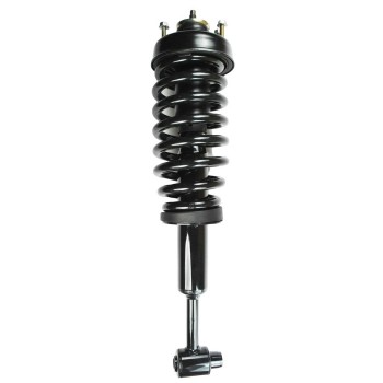 Suspension Strut and Coil Spring Assembly