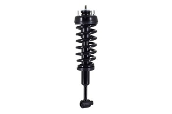 Suspension Strut and Coil Spring Assembly