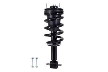 Suspension Strut and Coil Spring Assembly