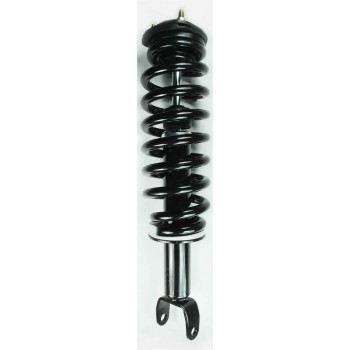 Suspension Strut and Coil Spring Assembly