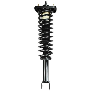 Suspension Strut and Coil Spring Assembly