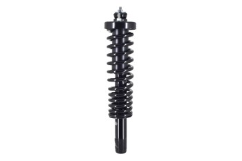 Suspension Strut and Coil Spring Assembly