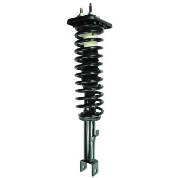 Suspension Strut and Coil Spring Assembly
