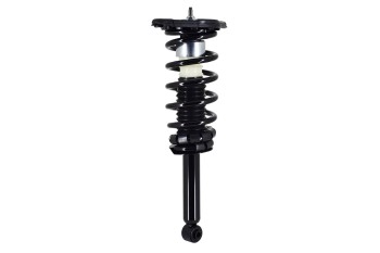 Suspension Strut and Coil Spring Assembly