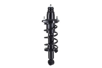 Suspension Strut and Coil Spring Assembly