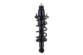 Suspension Strut and Coil Spring Assembly