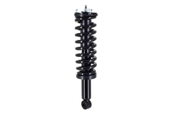 Suspension Strut and Coil Spring Assembly