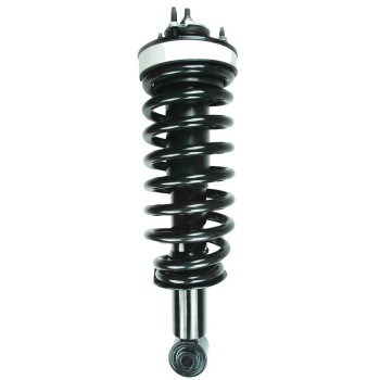 Suspension Strut and Coil Spring Assembly