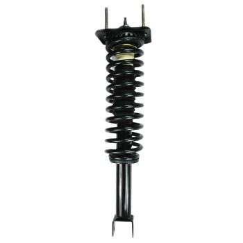 Suspension Strut and Coil Spring Assembly