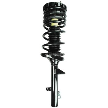 Suspension Strut and Coil Spring Assembly
