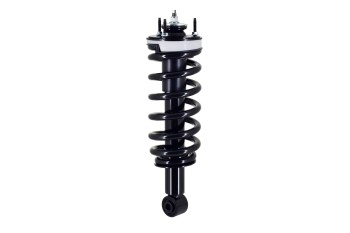 Suspension Strut and Coil Spring Assembly