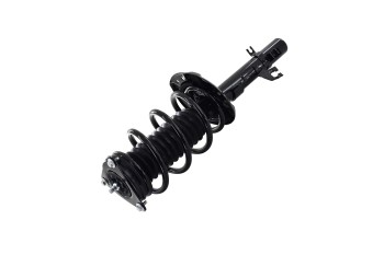 Suspension Strut and Coil Spring Assembly