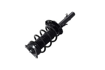 Suspension Strut and Coil Spring Assembly