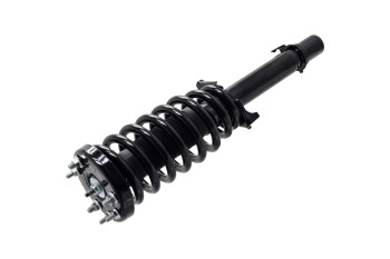 Suspension Strut and Coil Spring Assembly