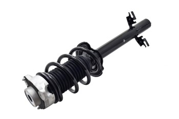 Suspension Strut and Coil Spring Assembly