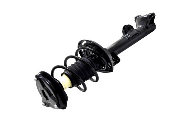 Suspension Strut and Coil Spring Assembly