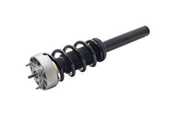 Suspension Strut and Coil Spring Assembly