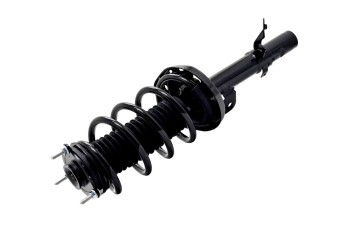 Suspension Strut and Coil Spring Assembly
