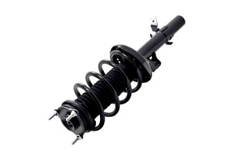 Suspension Strut and Coil Spring Assembly
