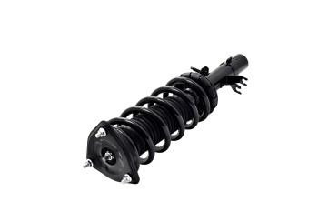 Suspension Strut and Coil Spring Assembly