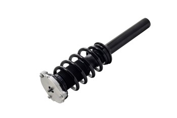 Suspension Strut and Coil Spring Assembly