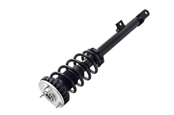 Suspension Strut and Coil Spring Assembly