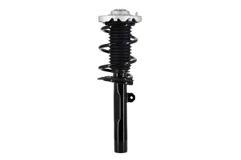Suspension Strut and Coil Spring Assembly