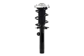 Suspension Strut and Coil Spring Assembly
