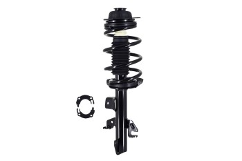 Suspension Strut and Coil Spring Assembly