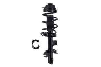 Suspension Strut and Coil Spring Assembly