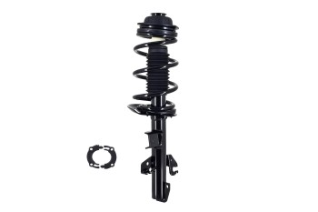Suspension Strut and Coil Spring Assembly