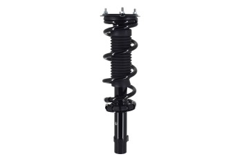 Suspension Strut and Coil Spring Assembly