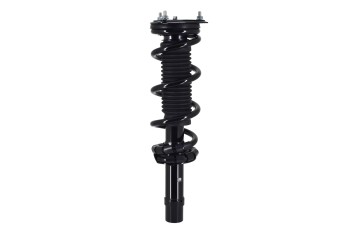 Suspension Strut and Coil Spring Assembly