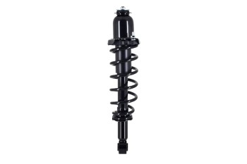 Suspension Strut and Coil Spring Assembly
