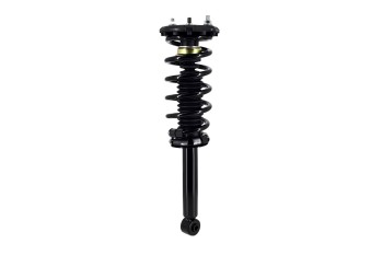 Suspension Strut and Coil Spring Assembly