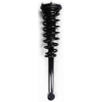 Suspension Strut and Coil Spring Assembly