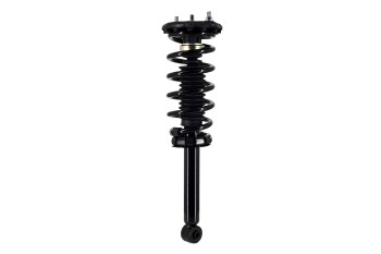 Suspension Strut and Coil Spring Assembly