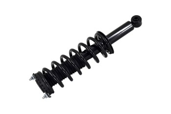Suspension Strut and Coil Spring Assembly