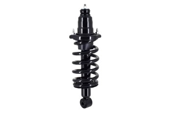 Suspension Strut and Coil Spring Assembly