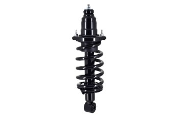 Suspension Strut and Coil Spring Assembly