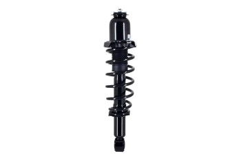 Suspension Strut and Coil Spring Assembly