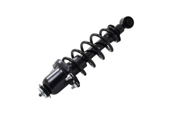 Suspension Strut and Coil Spring Assembly