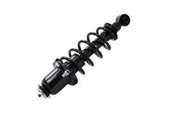 Suspension Strut and Coil Spring Assembly