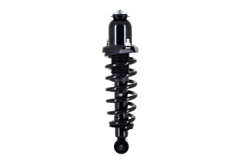 Suspension Strut and Coil Spring Assembly